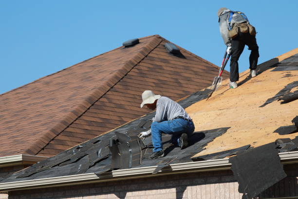Best Skylight Installation and Repair  in Saegertown, PA